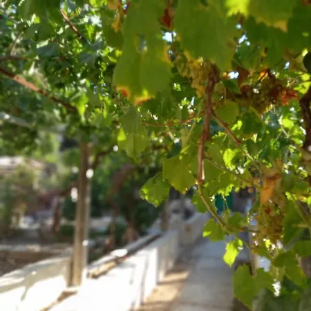 Appartamento Stone oasis Vito Ragusa Esterno foto